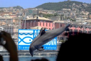 scuola materna don arioli all'acquario di Genova