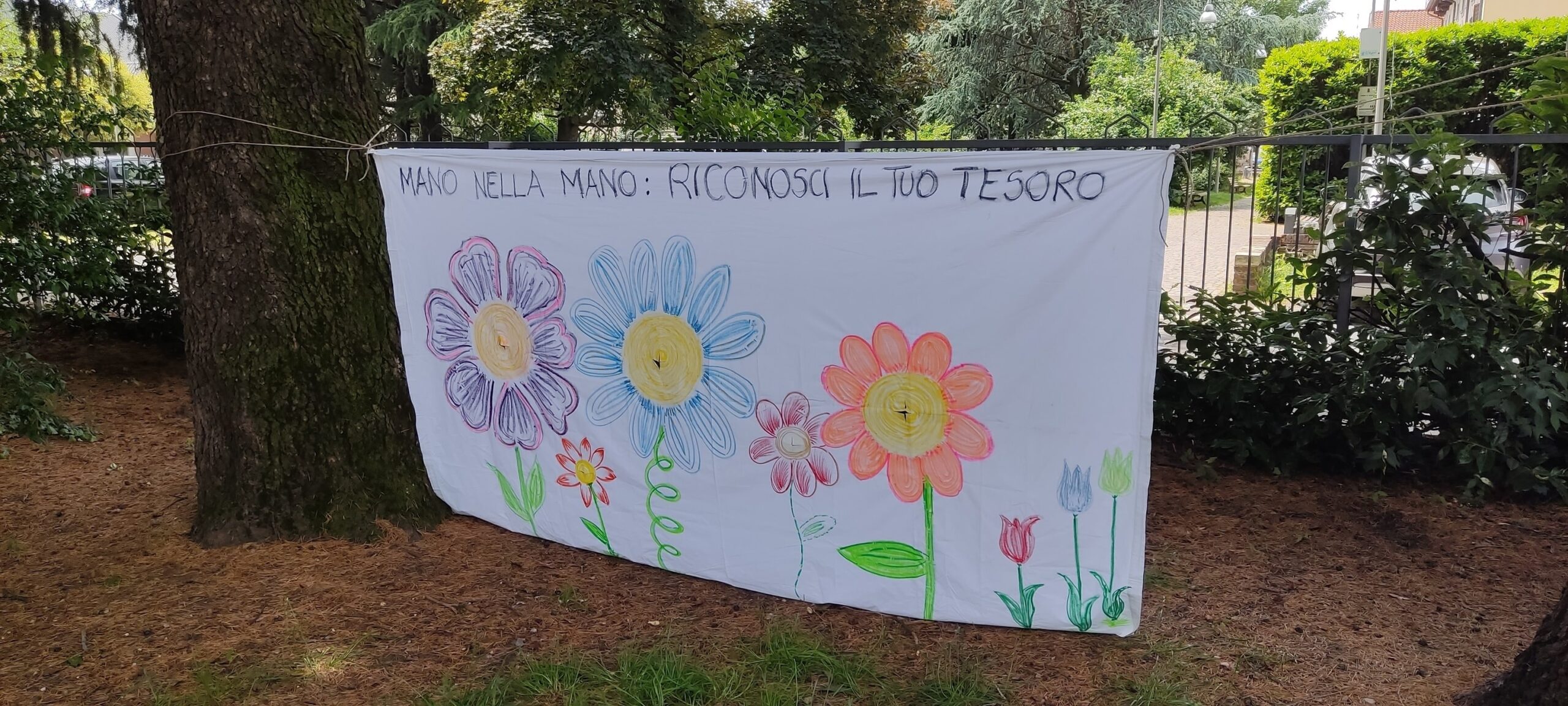 asm asilo arioli giugno 2025-min